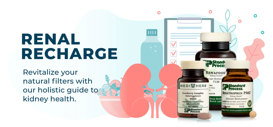 Renal Recharge - Revitalize your body's natural filters