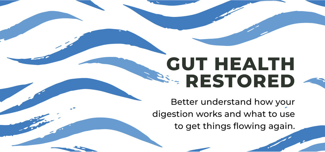 Gut Health Restored - Digestion Series