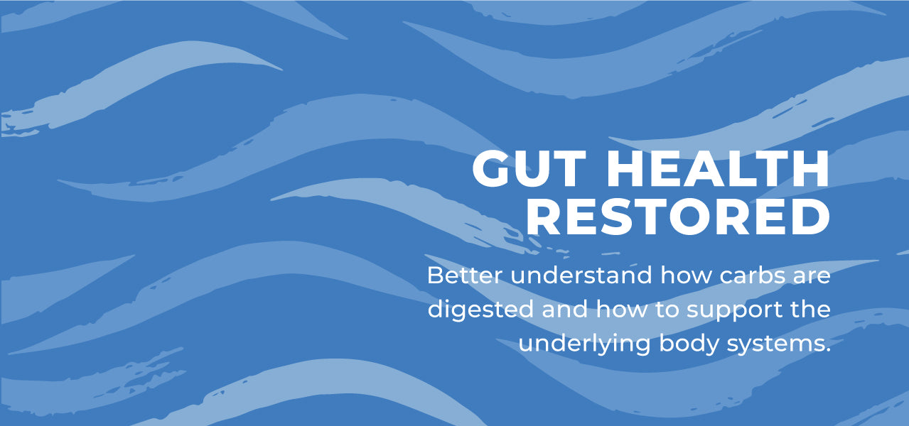 Gut Health Restored - Carbohydrate Digestion